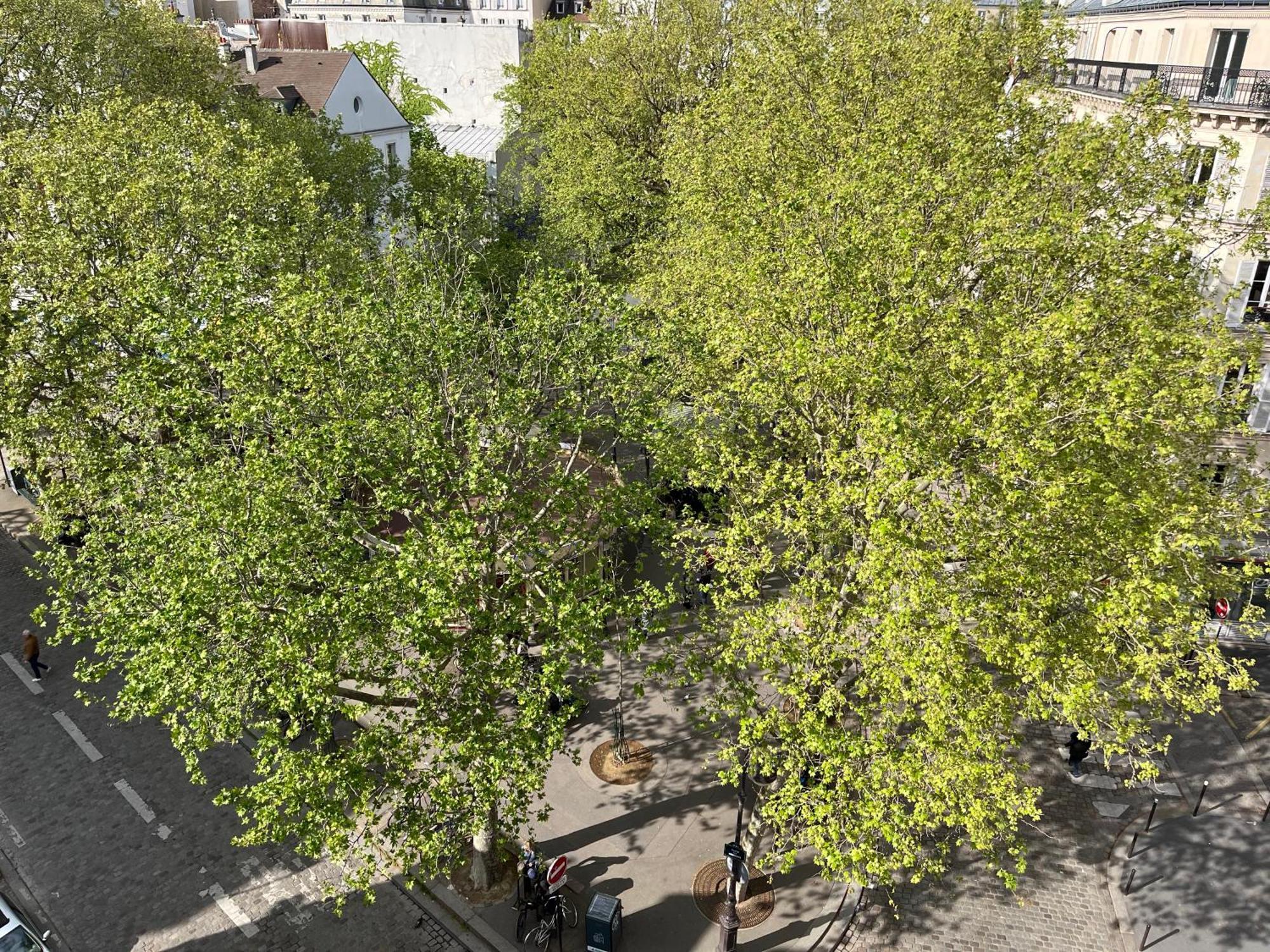 דירות פריז Montmartre Belle Vue מראה חיצוני תמונה